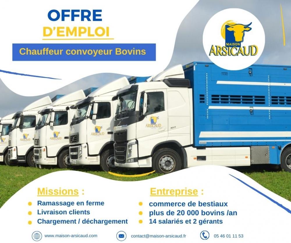 OFFRE D'EMPLOI